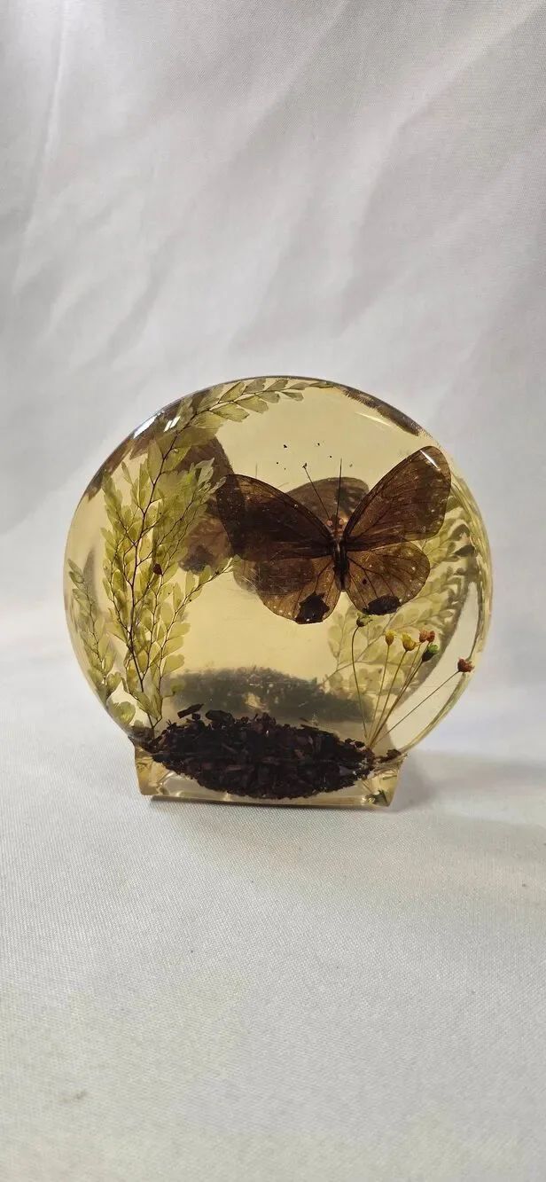 Vintage MCM Lucite Butterfly Napkin Holder - Real Preserved Botanical Resin